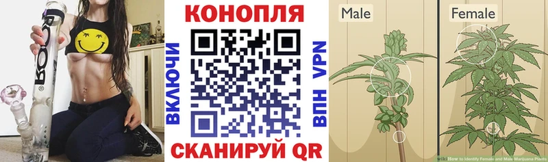 Купить наркотик аптеки Барабинск ГЕРОИН  Alpha-PVP  Бошки Шишки  Меф мяу мяу  Cocaine  Амфетамин 