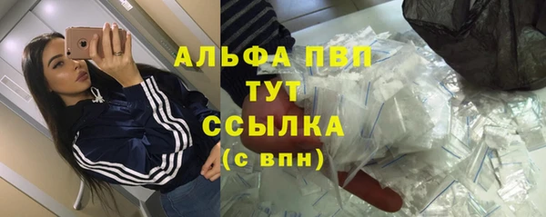 сатива Бронницы