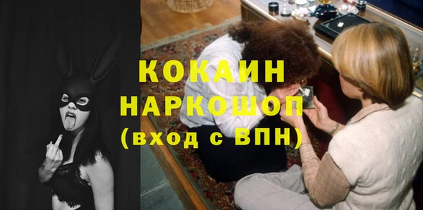 кокс Богородицк