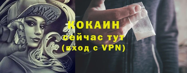 сатива Бронницы